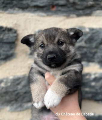 BIYAR du Château de Labatie